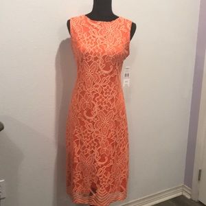 Brand New Beautiful Lace Dress